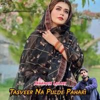 Tasveer Na Pulde Pahari