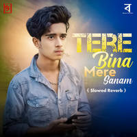 Tere Bina Mere Sanam (Slowed  Reverb)