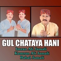 Gul Chataya Hani