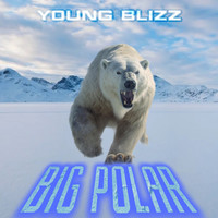 Big Polar