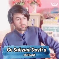 Go Sabzani Dosti a