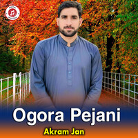 Ogora Pejani