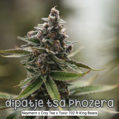 Dipatje Tsa Phozera