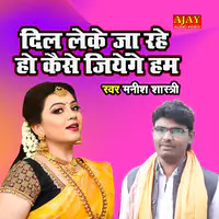 Dil Leke Ja Rahe Ho Kaise Jiyenge Ham