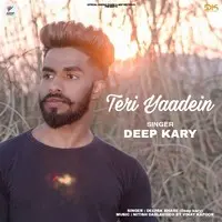 Teri Yaadein