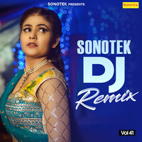 Sonotek DJ Remix Vol 41