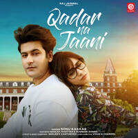 Qadar Na Jaani (feat. Manjul Khattar,Rumman Ahmed)