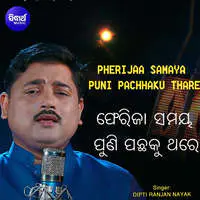 Pherijaa Samaya Puni Pachhaku Thare