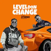 Level Don Change