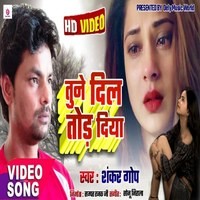 tune Dil Tod Diya