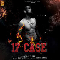 17 Case
