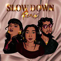 Slow Down (Remix)