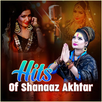 Hits Of Shanaaz Akhtar