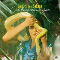 Tu Esti Fata De Oras Mp3 Song Download By Carmen De La Salciua Tu Esti Fata De Oras Listen Tu Esti Fata De Oras Romanian Song Free Online