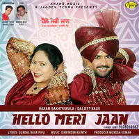Hello Meri Jaan