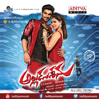 Alludu Seenu