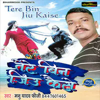 Tere Bin Jeeun Kaise