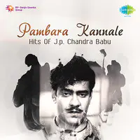 Pambara Kannale Hits Of J. P. Chandra Babu