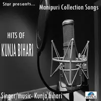 Hits Of Kunja Bihari