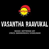 Vasantha Raavukal