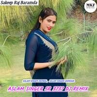 Aslam Singer SR 3737 (DJ REMIX)