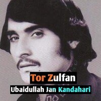 Tor Zulfan