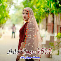 Arbaj Singer 4655