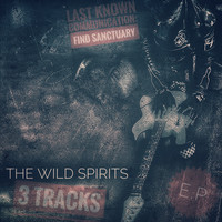 Last Known Communication: Find Sanctuary ( EP )