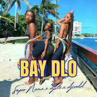 BAY DLO