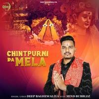 Chintpurni Da Mela