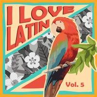 I Love Latin, Vol. 5