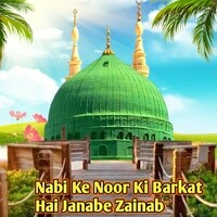 Nabi Ke Noor Ki Barkat Hai Janabe Zainab