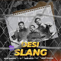 Desi Slang