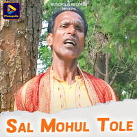 Sal Mohul Tole