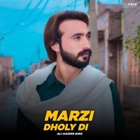 Marzi Dholy Di