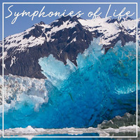 Symphonies of Life, Vol. 70 - Shostakovisch: Das Neue Babylon/Funf Tage und funf Nachte