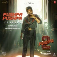 Pushpa Pushpa (From "Pushpa 2 The Rule") [Kannada]