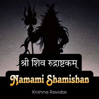 श्री शिव रुद्राष्टकम् (Namami Shamishan)