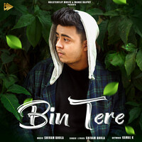 Bin Tere