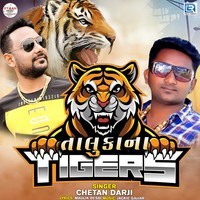 Taluka Na Tiger