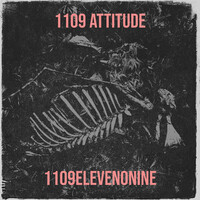 1109 Attitude