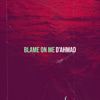 Blame on Me