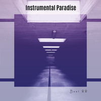 Instrumental Paradise Best 22