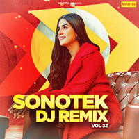 Sonotek DJ Remix Vol 33