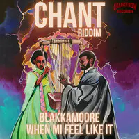 When Mi Feel Like It (Chant Riddim)