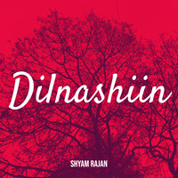 Dilnashiin