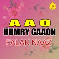 Aao Humry Gaaon