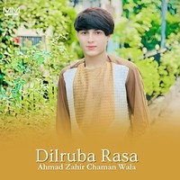 Dilruba Rasa