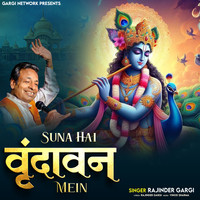 Suna Hai Vrindavan Mein