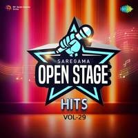 Open Stage Hits - Vol 29